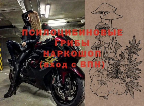 стаф Беломорск