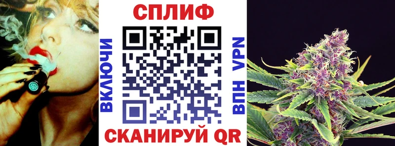 omg ТОР  где купить   Павловск  Каннабис Ganja 